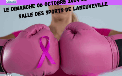 Savate Laneuveville Capture-decran-2025-06-10-162037-400x250 Accueil  